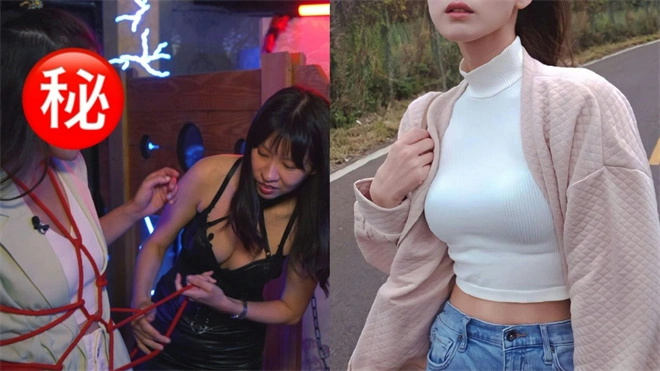 西檬之家-字母圈新人直评k9是什么？k9在BDSM中含义！