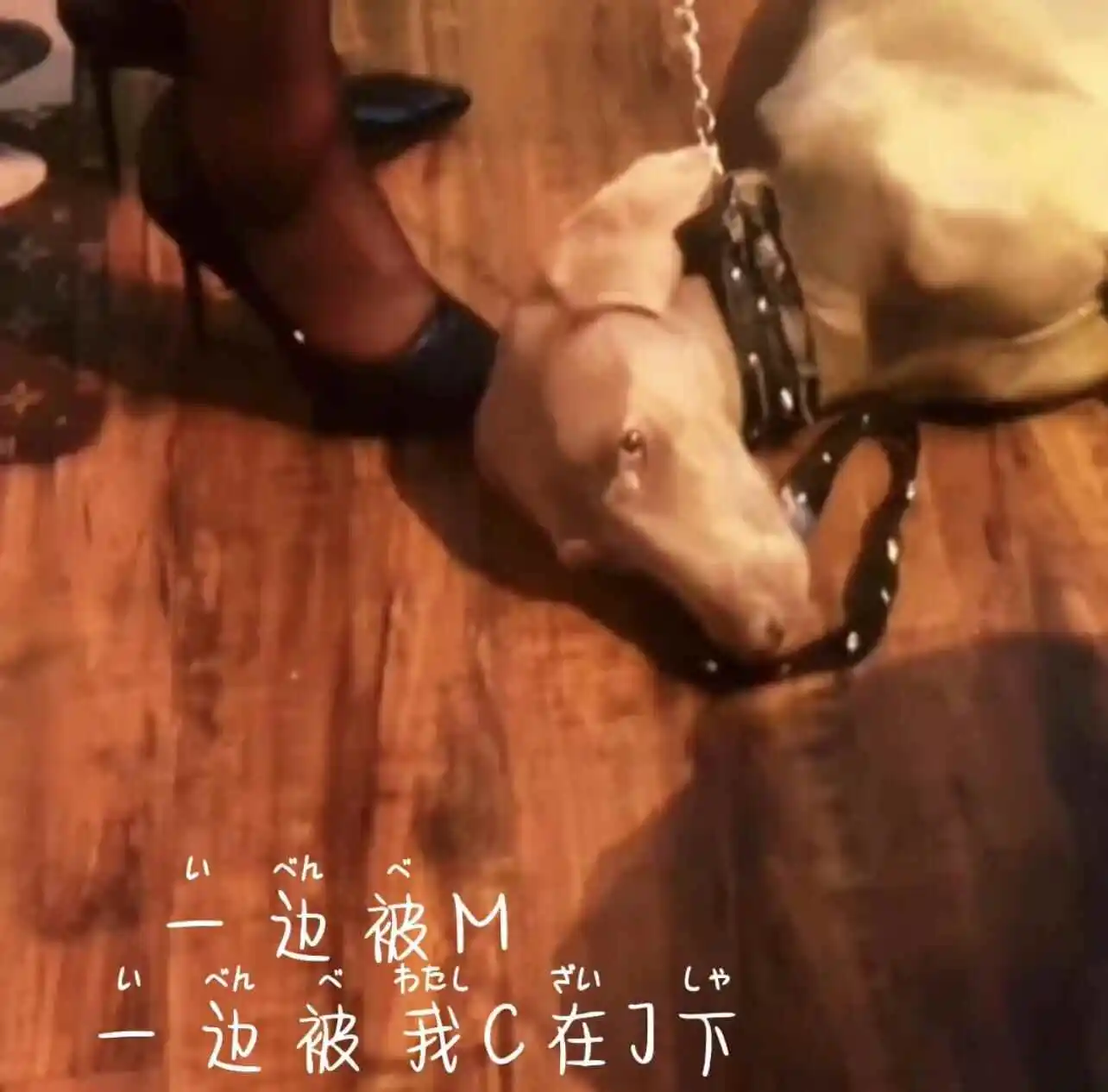 西檬之家-字母圈新手入门指南：Aftercare 的重要性与实践