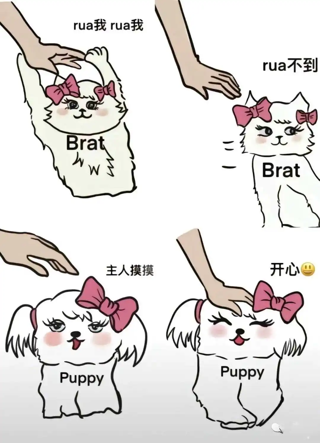 西檬之家-K8是什么？字母圈新人入圈