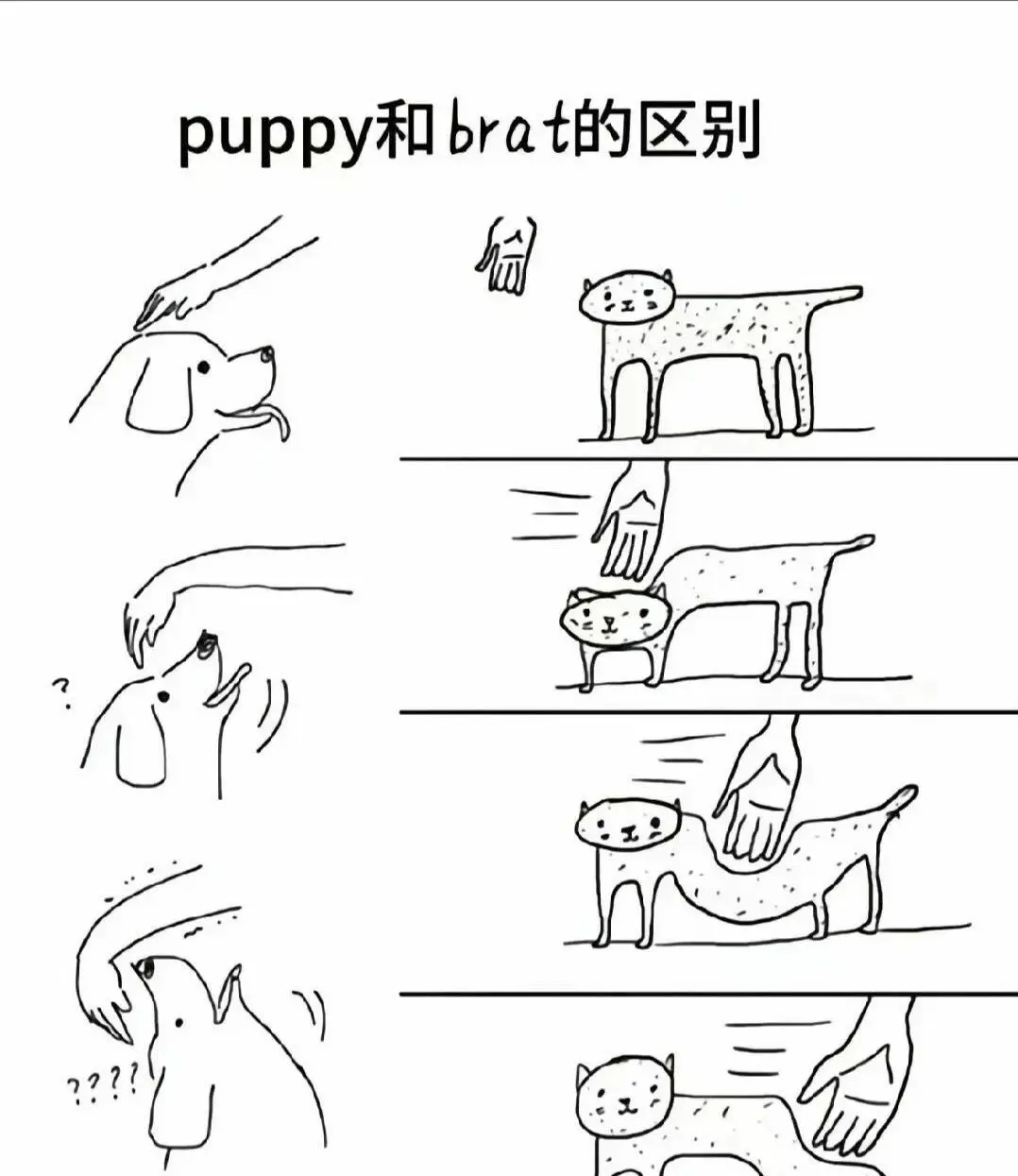 【西檬之家-字母圈新人如何入圈？Dirty talk是什么的详细解析】