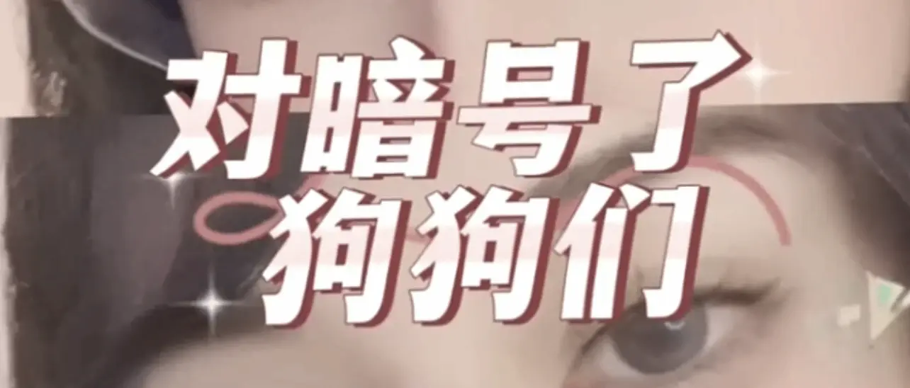 【西檬之家】BDSM圈新人入圈指南：读懂核心术语与安全基石