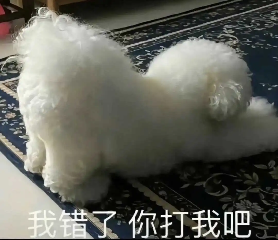 西檬之家-斯慕圈新人入圈指南：从基础术语到核心伦理