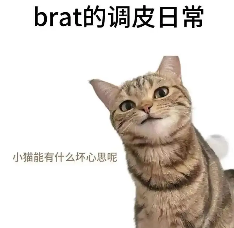 西檬之家-字母圈的Aftercare是什么？BDSM新人必读的安全指南
