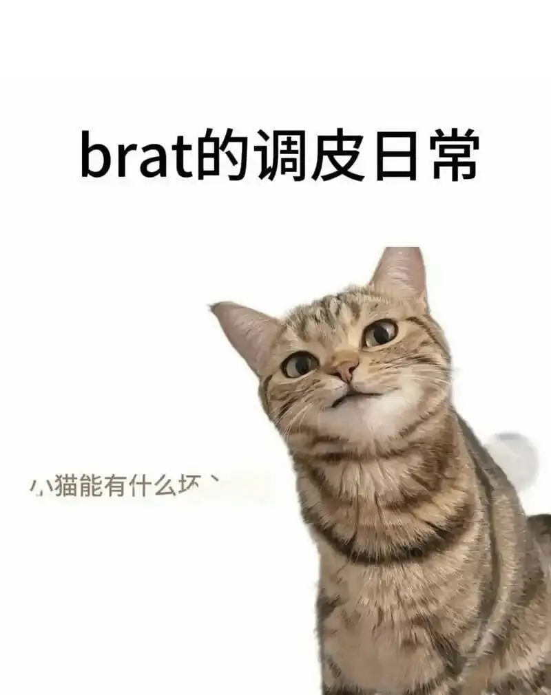 西檬之家-Sub是什么？字母圈中的服从而非屈辱